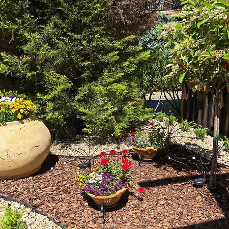 Apartamento Stela In Santa Marina